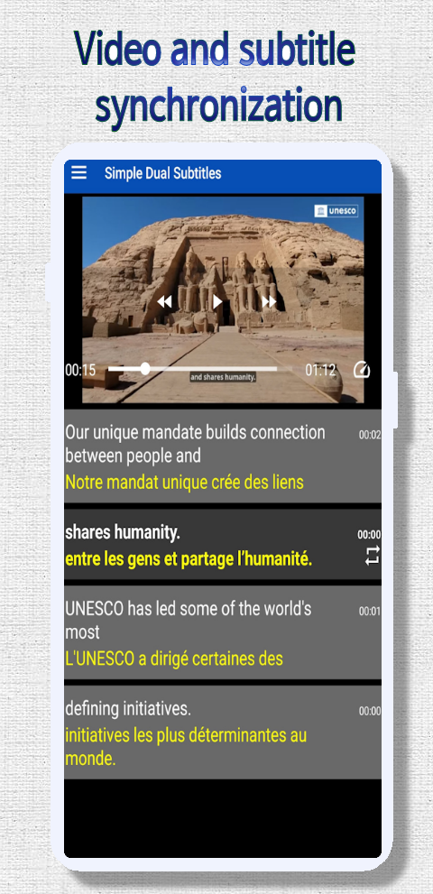 Dual Subtitle - Video Player screenshot 2