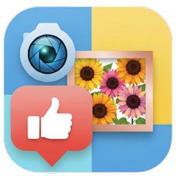 Simple Collage Layout icon